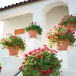 wedding-photography-ojai-california-hansen-13