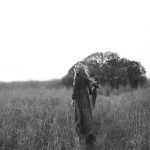 lacie-hansen-fine-art