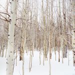 rehearsal-dinner-photography-aspen-colorado2