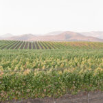 01-santa-ynez-landscape