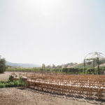 14-grassini-winery-weddings